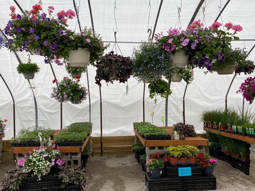Mother's Day Gifts Hanging Baskets