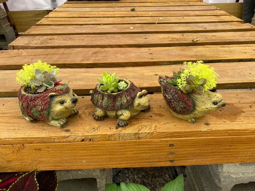 Succulent Planters Mothers Day Gift