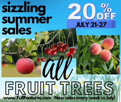 fruit tree sale, 20 percent off fruit trees, top reasons we love fruit trees